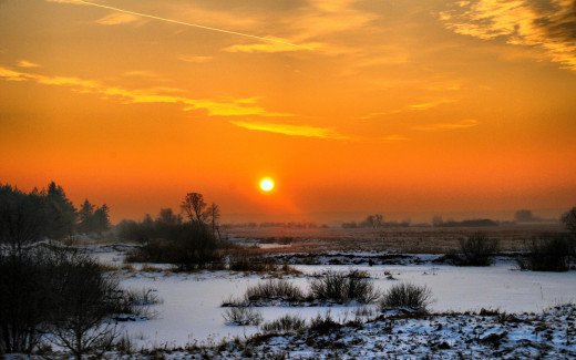 485786 (a): :2560x1600